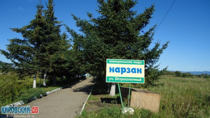Аллея к нарзану. Автор фото Микеров Александр