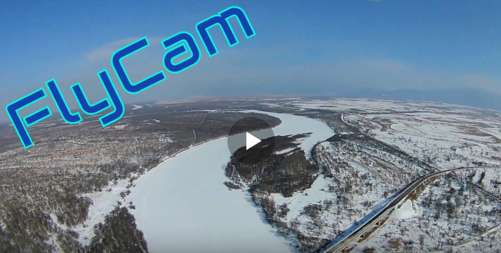 Кировский мост р. Уссури, март 2020