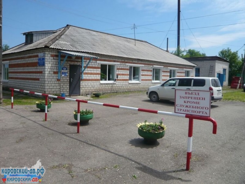 Ветеринарная служба в пгт. Кировский
