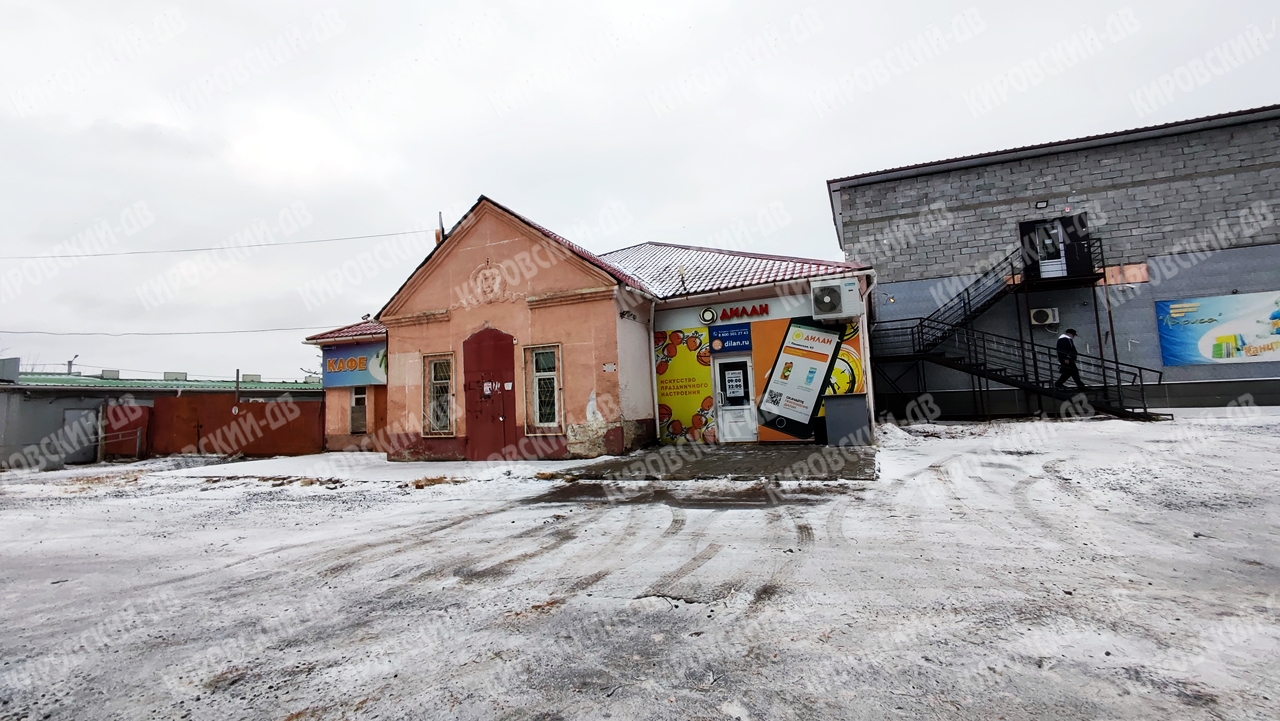 Дилан в пгт. Кировский
