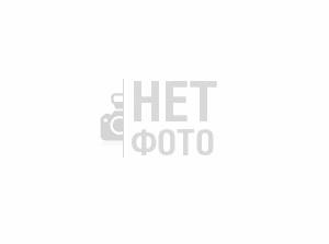 Гастроном